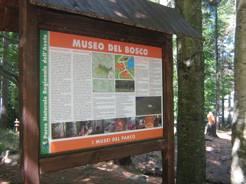 Museo del Bosco