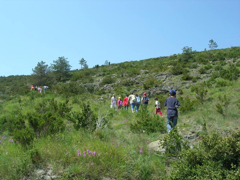 Escursione scuola al SN Monte Bossea - versante meridionale