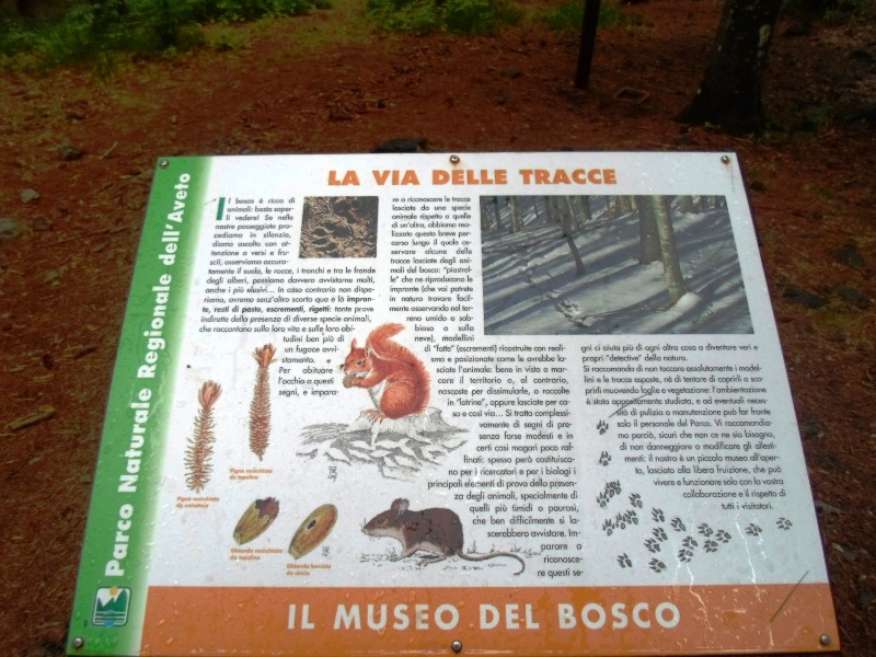 Museo del Bosco: leggio via delle tracce